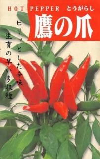 ȥ饷μޡ̸ۡ ̵