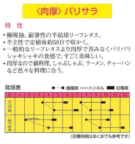 リーフレタスの種 パリサラ 固定種 種の専門店 松尾農園 オンラインショップ