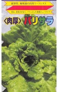 ꡼ե쥿μڥѥꥵ̸ۡ ̵