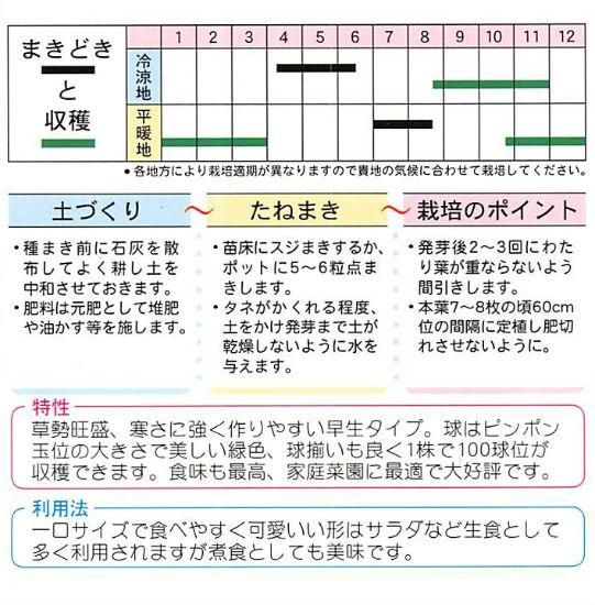 芽キャベツ 子持甘藍 の種 固定種 種の専門店 松尾農園 オンラインショップ
