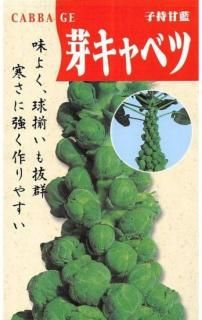 ꥭ٥ġһСˤμ̸ ̵
