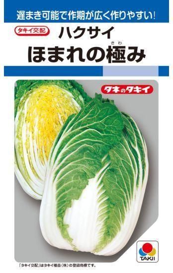 ハクサイの種 ほまれの極み F1 種の専門店 松尾農園 オンラインショップ ハクサイの種 ほまれの極み F1 種の専門店 松尾農園 オンラインショップ