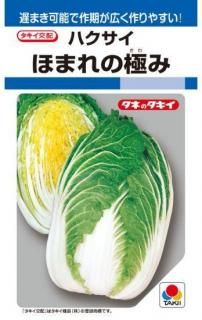 ϥμڤۤޤζˤߡۡF1 ̵