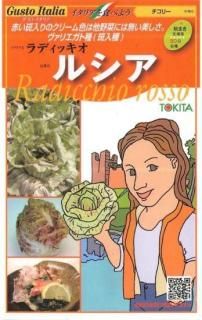 ꡼μڥ륷ۡF1 ̵