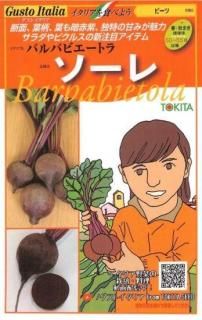ӡĤμڥۡF1 ̵