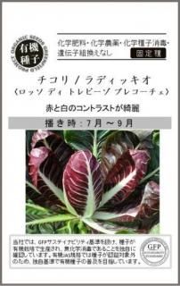 ꡼μڥå ǥ ȥӡ ץ쥳̸ۡͭҡ ̵