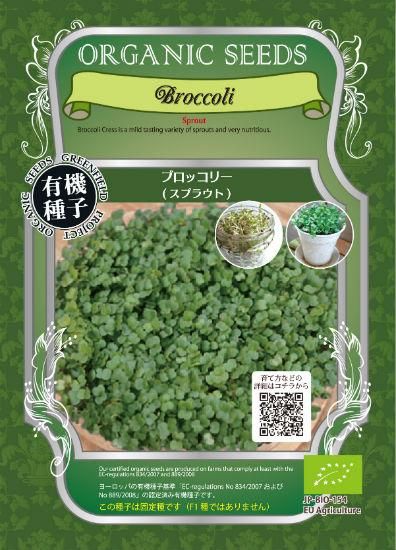 スプラウト ブロッコリー の種 有機種子 固定種 種の専門店 松尾農園 オンラインショップ スプラウト ブロッコリー の種 有機種子 固定種 種の専門店 松尾農園 オンラインショップ