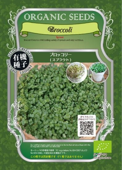 スプラウト ブロッコリー の種 有機種子 固定種 種の専門店 松尾農園 オンラインショップ