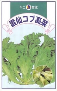 ʤμڱ祳ֹڡ̸ۡ