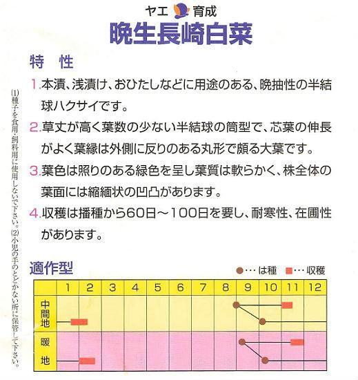 ハクサイの種 晩生長崎白菜 唐人菜 固定種 種の専門店 松尾農園 オンラインショップ