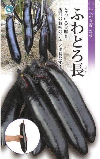ナスの種 ふわとろ長なす F1 種の専門店 松尾農園 オンラインショップ