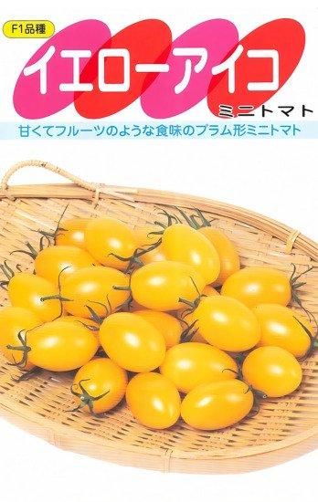 ミニトマトの種 イエローアイコ F1 種の専門店 松尾農園 オンラインショップ ミニトマトの種 イエローアイコ F1 種の専門店 松尾農園 オンラインショップ