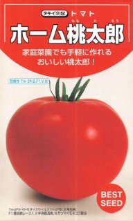 トマトの種【ホーム桃太郎】〔F1〕 ※無消毒