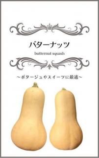 ܥμڥХʥåġ̸ۡ ̵