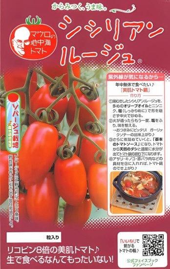 調理用トマトの種 シシリアン ルージュ F1 種の専門店 松尾農園 オンラインショップ 調理用トマトの種 シシリアン ルージュ F1 種の専門店 松尾農園 オンラインショップ