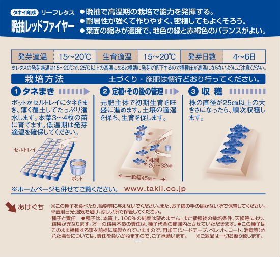 リーフレタスの種【晩抽レッドファイヤー】〔固定種〕 - 種の専門店　松尾農園　オンラインショップ