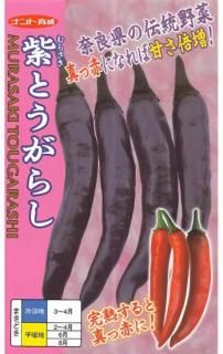 辛くない品種 - 種の専門店 松尾農園 オンラインショップ