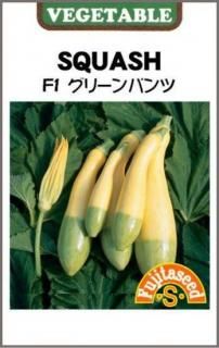 åˤμڥ꡼ѥġۡF1 ̵