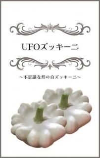 UFOåˡˤμ̸ ̵