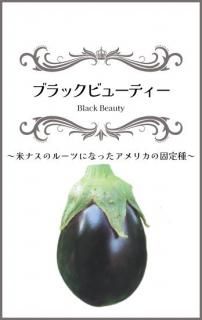 ʥμڥ֥åӥ塼ƥ̸ۡ ̵