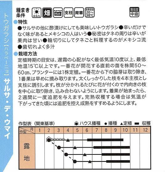 トウガラシの種 サルサ デ ウマイ ハラペーニョ F1 種の専門店 松尾農園 オンラインショップ