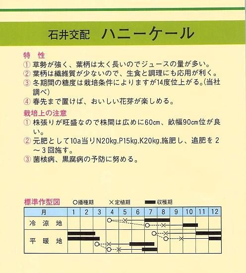 ケールの種 ハニーケール F1 種の専門店 松尾農園 オンラインショップ