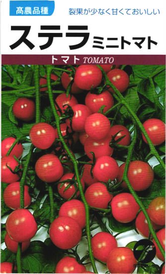 ミニトマトの種 ステラ 固定種 種の専門店 松尾農園 オンラインショップ