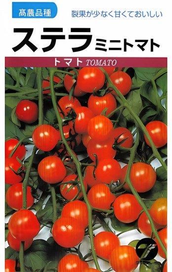 ミニトマトの種 ステラ 固定種 種の専門店 松尾農園 オンラインショップ