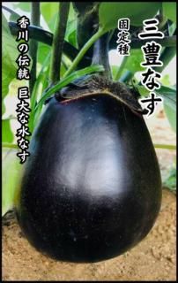 ʥμڻ˭ʤ̸ۡ ̵ 