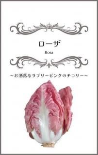 ꡼μڥ̸ۡ ̵