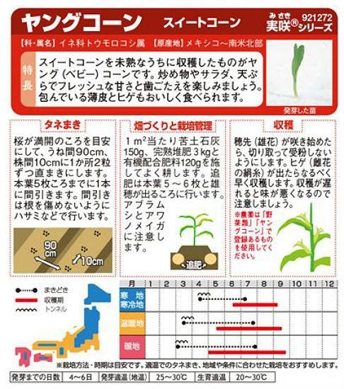 ヤングコーンの種 ヤングコーン F1 種の専門店 松尾農園 オンラインショップ ヤングコーンの種 ヤングコーン F1 種の専門店 松尾農園 オンラインショップ