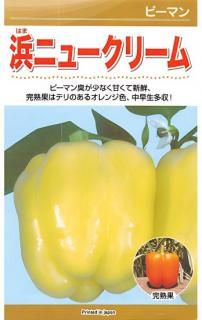 顼ԡޥμͥ˥塼꡼̸ۡ ̵ 