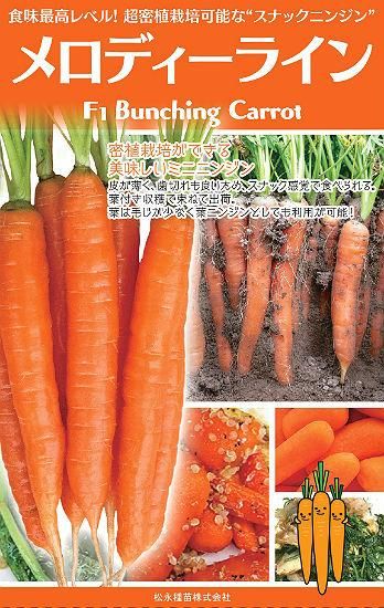 ミニニンジンの種 メロディーライン F1 種の専門店 松尾農園 オンラインショップ ミニニンジンの種 メロディーライン F1 種の専門店 松尾農園 オンラインショップ