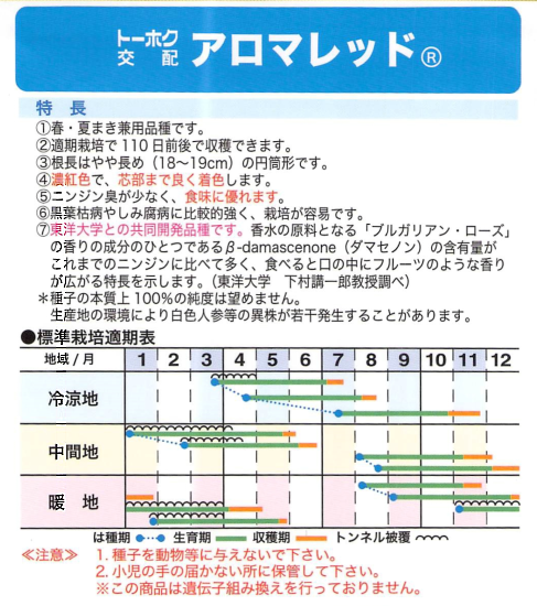 ニンジン　種　アロマレッド　１万粒 楽天市場】アロマレッドニンジン種 1万粒 : 荒川種苗