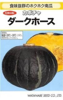 ܥμڥۡۡF1