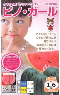 ̥μڥԥΡۡF1 ̵