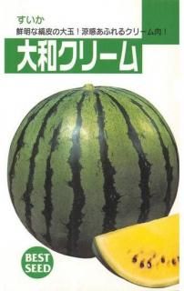 ̥μ¥꡼2̸ۡ