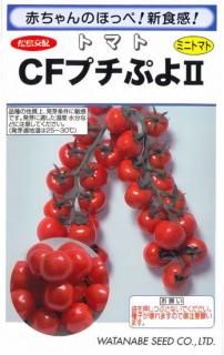 ߥ˥ȥޥȤμCFץפ譶ۡF1 ̵ 