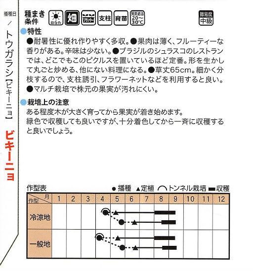トウガラシ ビキーニョ レッド種子 3g入り（約1000粒） トウガラシ ビキーニョ レッド種子 3g入り（約1000粒） Amazon.co.jp