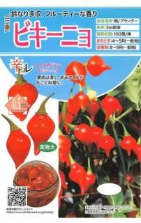 ȥ饷μڥӥ˥̸ۡ ̵