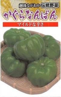 ȥ饷μڤʤФʿڡˡ̸ۡ ̵ 