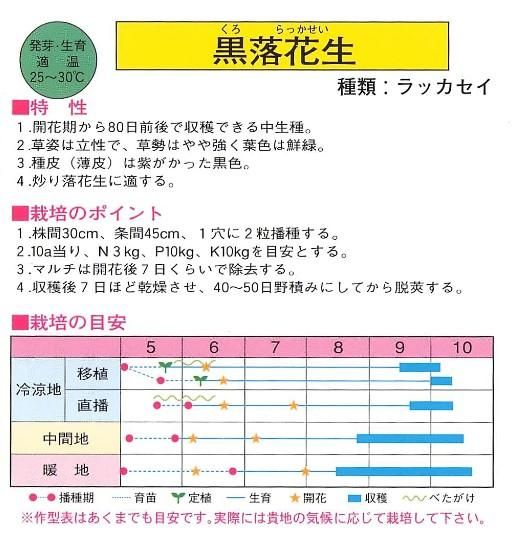 黒落花生 ブラックピーナッツ の種 固定種 種の専門店 松尾農園 オンラインショップ