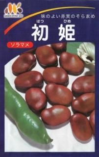 ソラマメ〔固定種〕 - 種の専門店 松尾農園 オンラインショップ