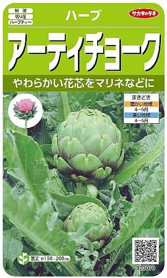 ハーブ アーティチョークの種 固定種 種の専門店 松尾農園 オンラインショップ