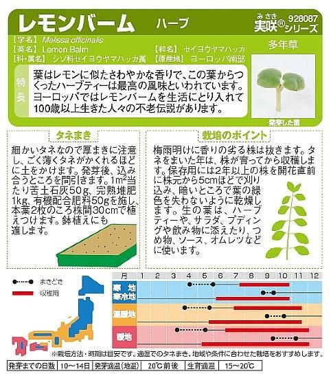 レモンバームの種 固定種 種の専門店 松尾農園 オンラインショップ レモンバームの種 固定種 種の専門店 松尾農園 オンラインショップ