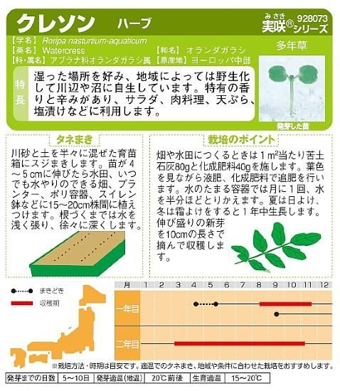 クレソン ウォータークレス の種 固定種 種の専門店 松尾農園 オンラインショップ クレソン ウォータークレス の種 固定種 種の専門店 松尾農園 オンラインショップ