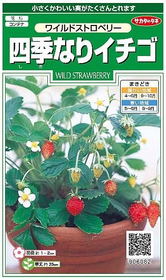 ワイルドストロベリーの種 固定種 種の専門店 松尾農園 オンラインショップ ワイルドストロベリーの種 固定種 種の専門店 松尾農園 オンラインショップ