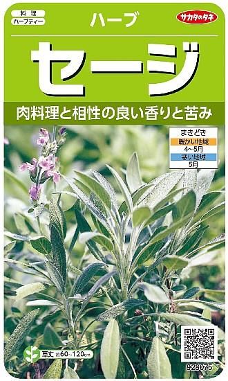 セージ コモンセージ の種 固定種 種の専門店 松尾農園 オンラインショップ セージ コモンセージ の種 固定種 種の専門店 松尾農園 オンラインショップ