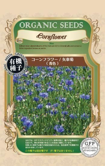 ハーブ・エディブルフラワー｝コーンフラワー／矢車菊の種〔固定種