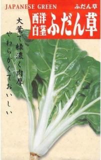 ե󥽥μԡˡ̸ ̵